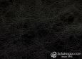 (VIN_81824) NEGRO_VIN