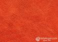 (VIN_81825) FRUTA ARANCIO_VIN