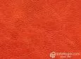 (VIN_81825) FRUTA ARANCIO_VIN