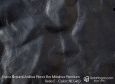 (VAP_71309) E_NEGRO