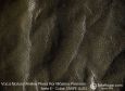 (VAP_711313) E_TAUPE LUJO