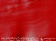 (VAP_71321) E_ROJO PREMIUM
