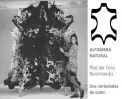 (258) Piel Toro Normando 4-5m2